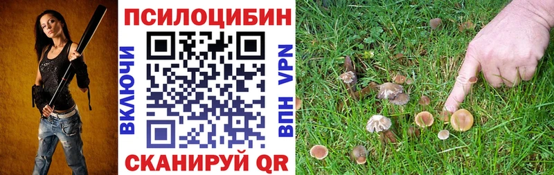 Псилоцибиновые грибы Psilocybine cubensis  где продают наркотики  Жуков 